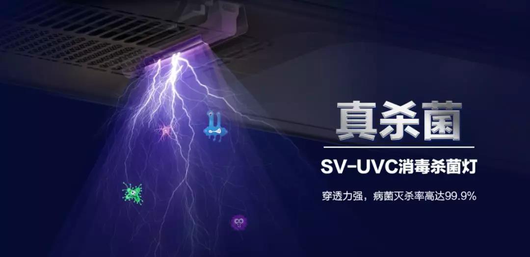 亚洲AV日韩AV石榴