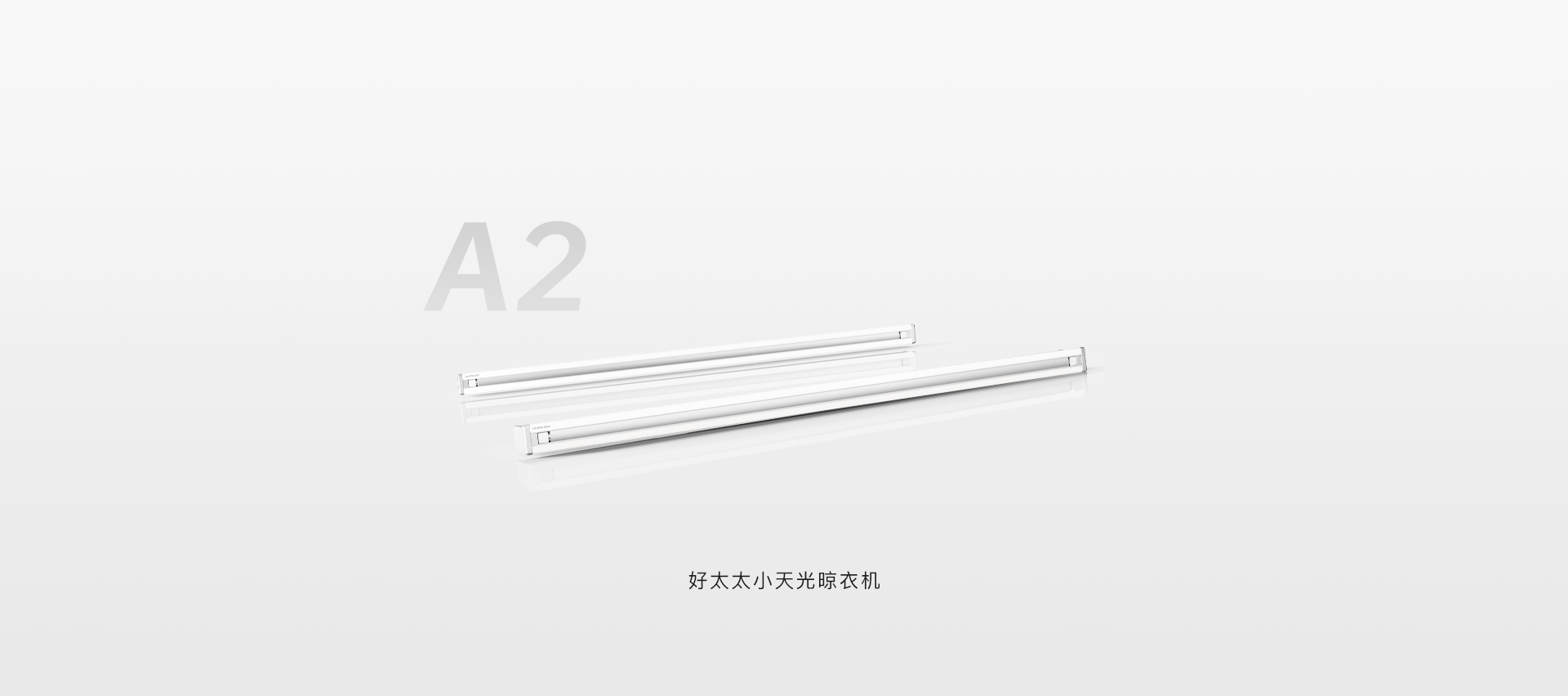 A2